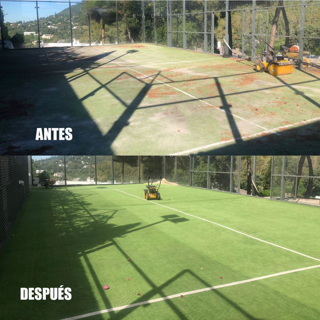 Barredora Césped Profesional